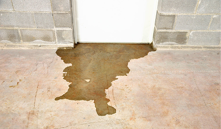 Leaking / Cracked Drains